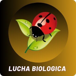 Lucha biológica