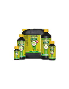 Atami NRG Growth C 2