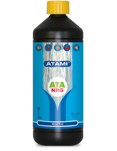 Atami NRG Roots C