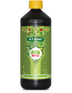 Atami NRG Alga C
