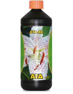ATA XL