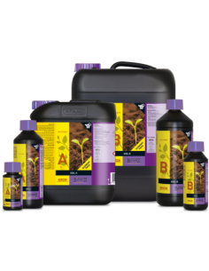 B´Cuzz Tierra A+B 2