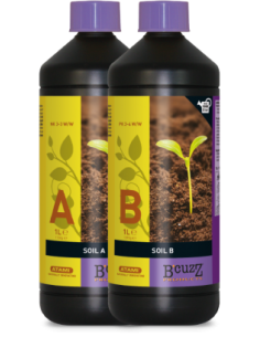 B´Cuzz Tierra A+B