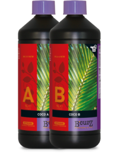 B´Cuzz Coco A+B