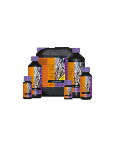 B´Cuzz Estimulador Radicular 2