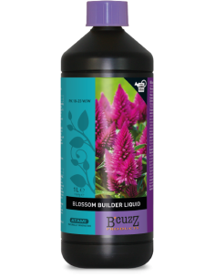 Blossom Builder Liquido