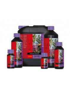 B´Cuzz Coco Booster 2