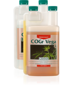 Canna CoGr vega A + B