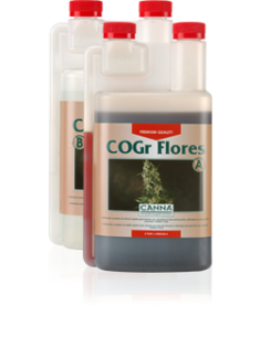 Canna CoGr Flores A + B