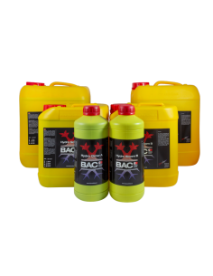 BAC Top Flower A&B Hydro Grow
