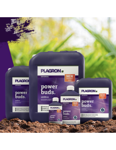 Plagron Power Buds