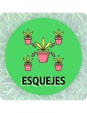 Esquejes