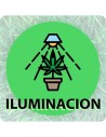 Iluminación